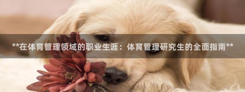必一体育app平台下载：**在体育管理领域的职业生涯：体育管