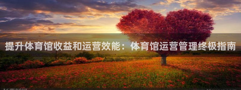必一体育登录APP下