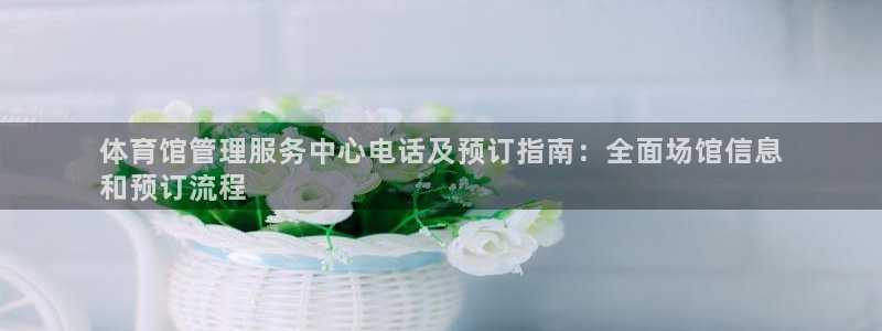 必一运动体育官网下载