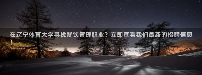 必一体育官网入口：在