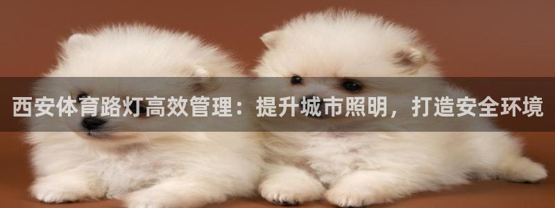 必一体育下载登入：西