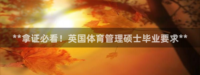 必一体育官方网站入口