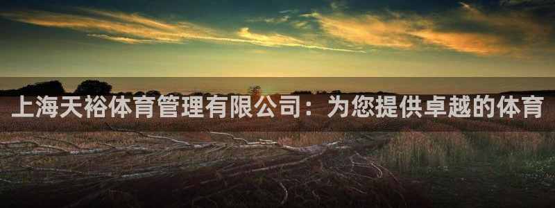 必一体育官方app下