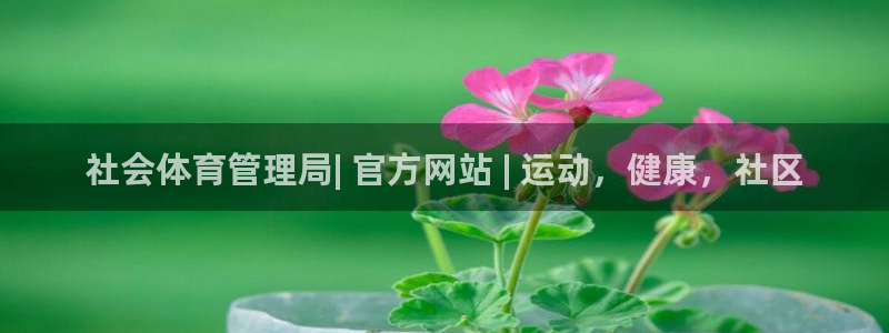 必一体育运动下载：社
