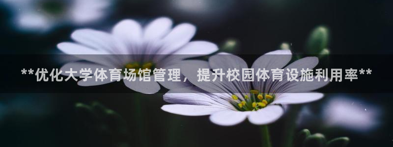 必一运动·(B-Sp