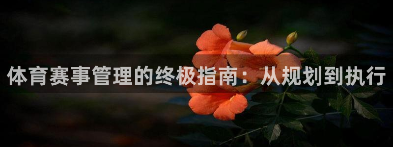 必一体育登录入口APP