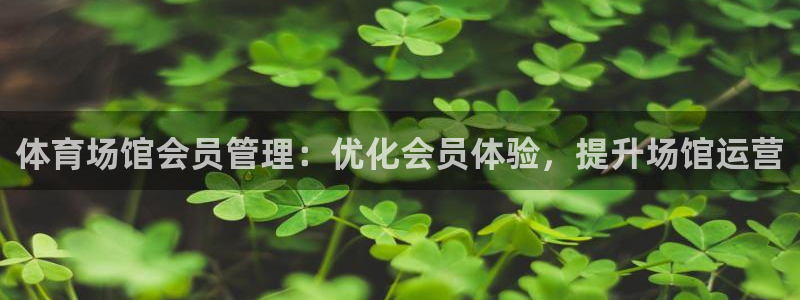 必一体育登录APP下