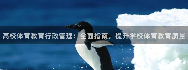 必一体育sport官