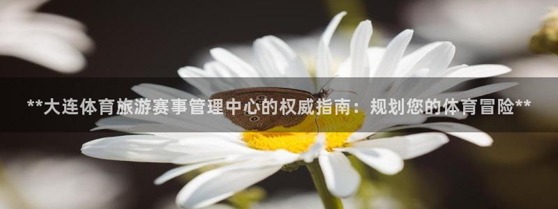 必一体育旧版：**大