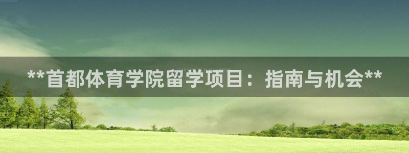 必一体育app平台下