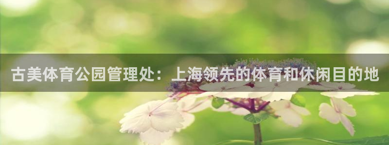 必一体育在线玩：古美