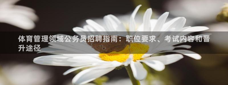 必一运动·(B-Sp