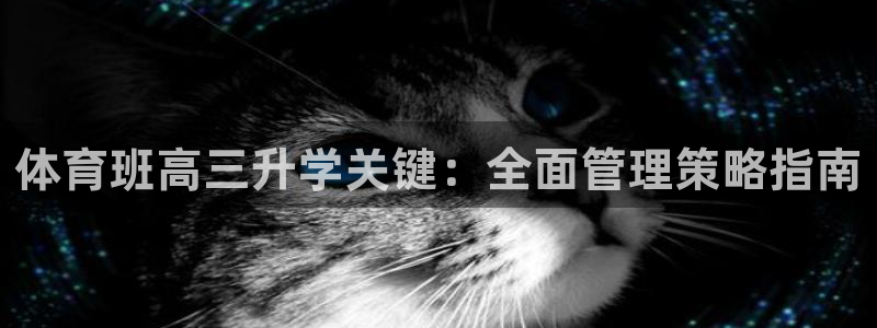 必十二和必一的副作用