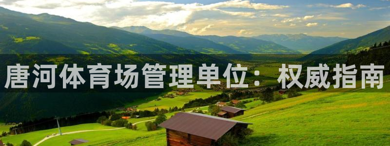 必一体育app下载：