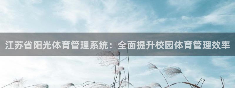 必一体育登录APP下