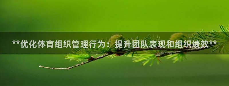 必一体育官方网站入口