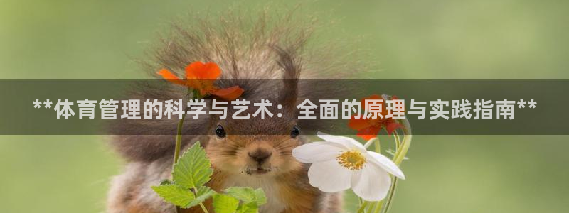 必一体育在线官网：*