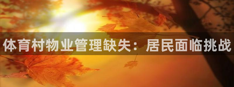 必一体育平台：体育村