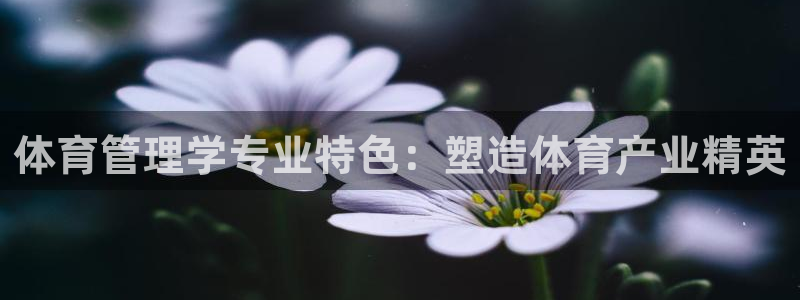 必一体育登录入口AP