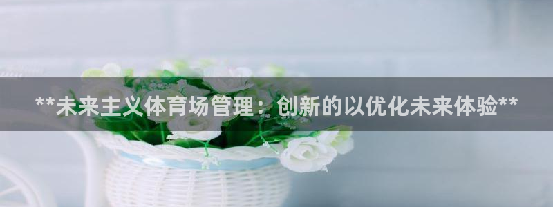必一体育最新官网入口