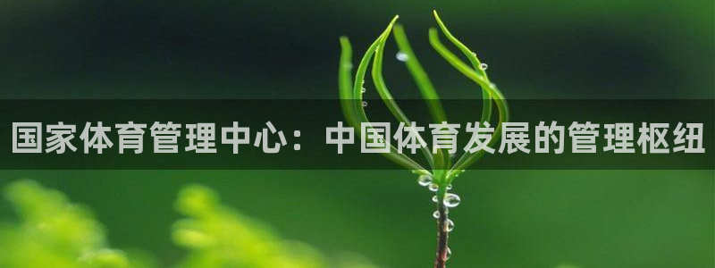 必一体育sport下