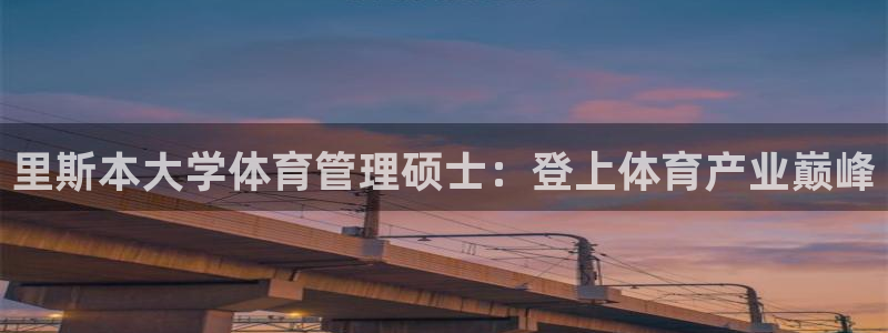 必一体育验证码：里斯