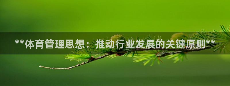 必一体育官网网址：*