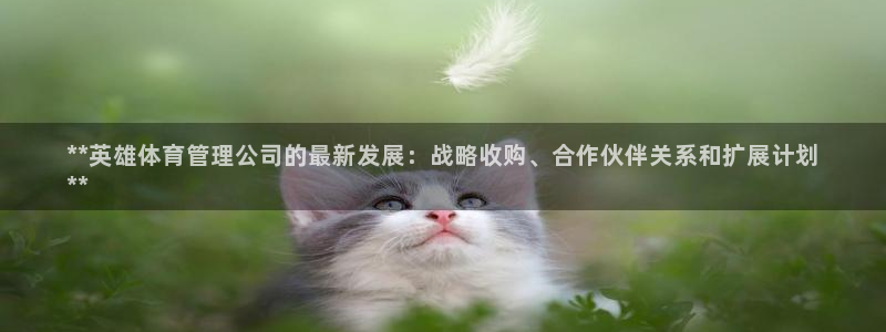 必一体育下载app下