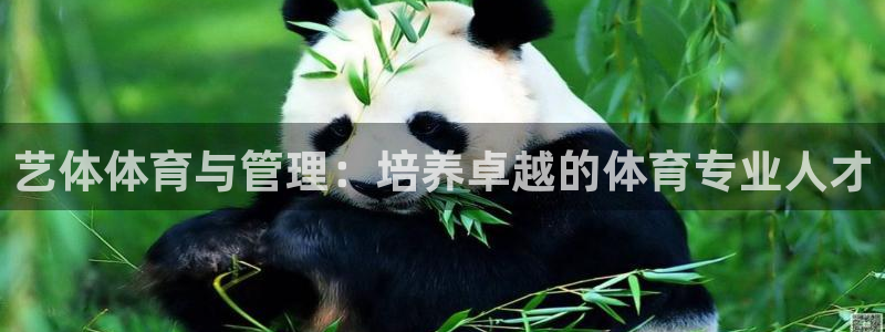必一运动·体育：艺体