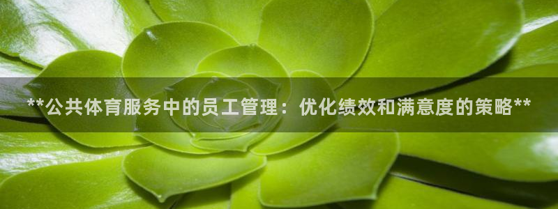 必一体育APP：**
