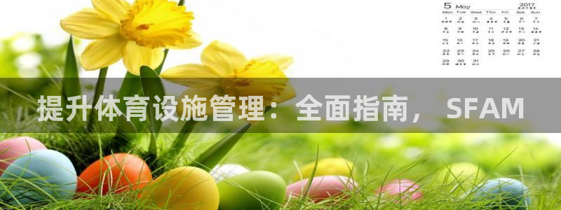 b体育必一运动网页版