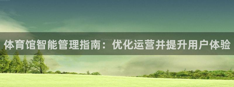 必一体育sportB