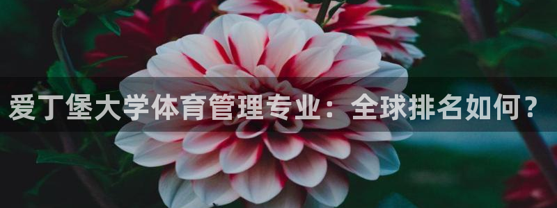 必一体育下载一样吗：