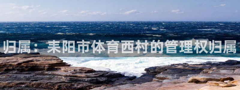 必一体育sport网