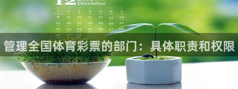 必一体育电子app：