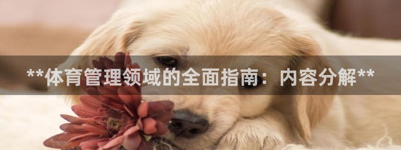 必一体育官网app：