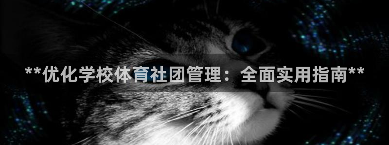 必一体育官网ios下
