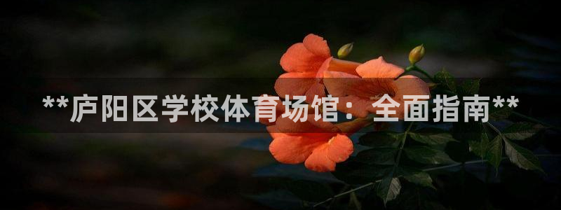 必一运动官网装机吧：**庐阳区学校体育场馆：全面指南**