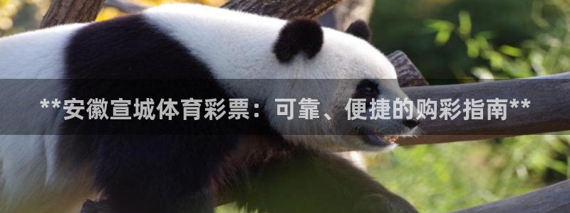 必一体育在哪下：**
