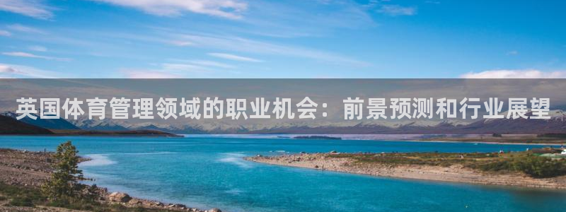 必一体育网站：英国体育管理领域的职业机会：前景预测和行业展望