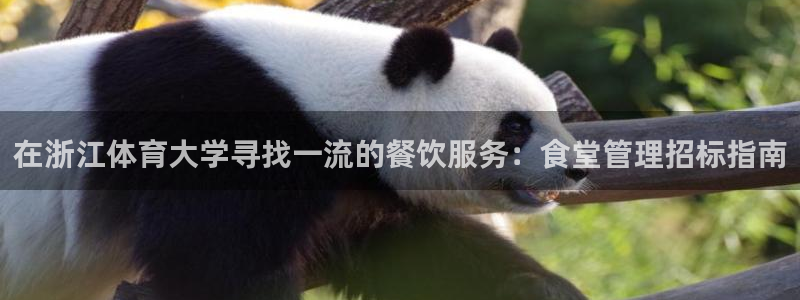 必一体育官方app下