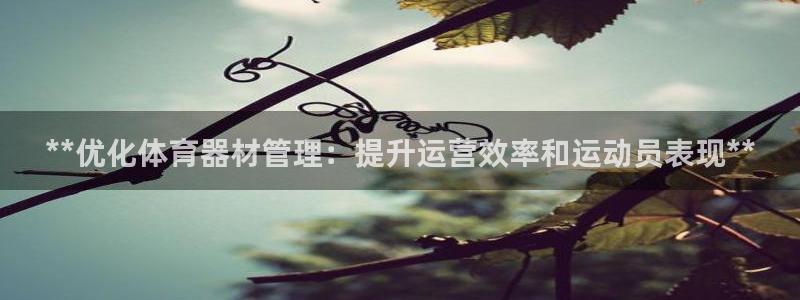 必一运动：**优化体育器材管理：提升运营效率和运动员表现**