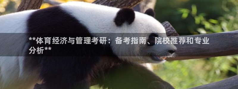 必一体育app下载最新版本苹果：**体育经济与管理考研：备考