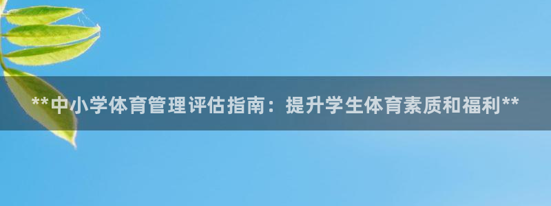 必一体育怎么下载：**中小学体育管理评估指南：提升学生体育素