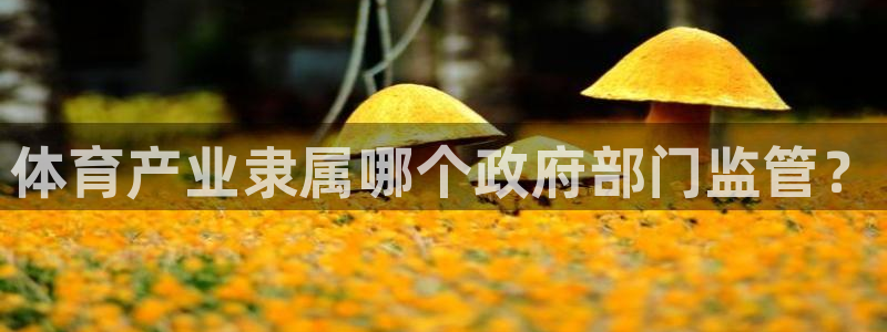 必一体育app下载：体育产业隶属哪个政府部门监管？