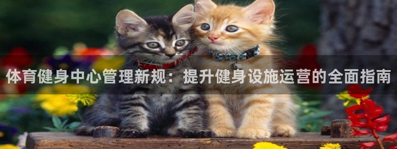 必一体育sport：