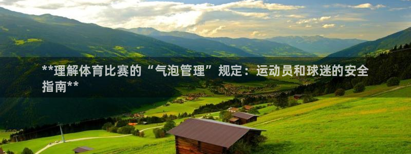 必一体育旧版：**理