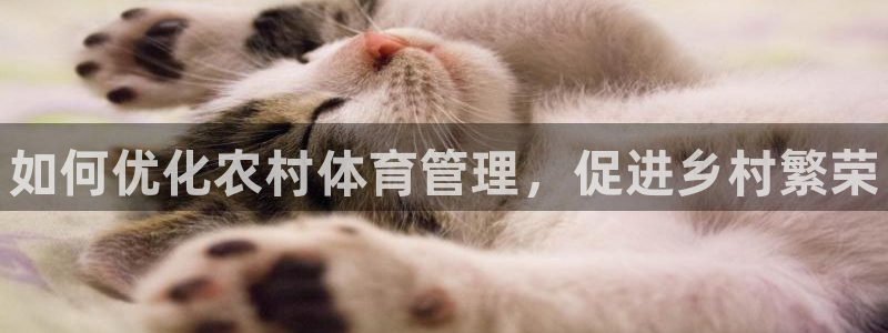 必一体育官网app：