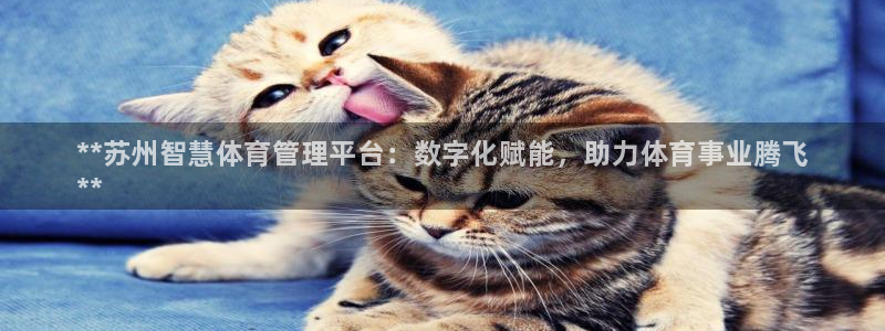 必一体育官方下载：*