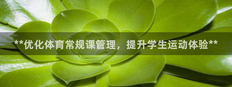 必一体育运动app：